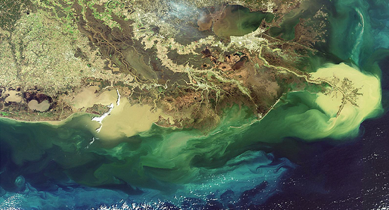 Satellite image of the Mississippi River Delta.