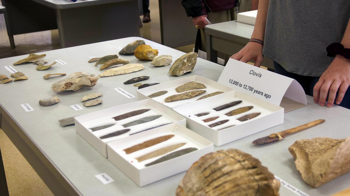 Display of assorted tools and weapons from 13,000 years ago