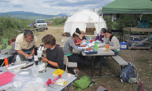 Field work around tables and a tent