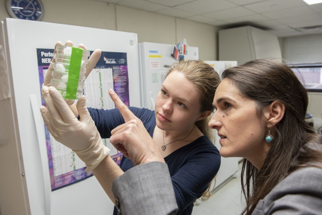 A student and professor inspect results in a lab.