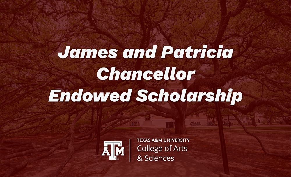 James and Patricia Chancellor Endowed Scholarship