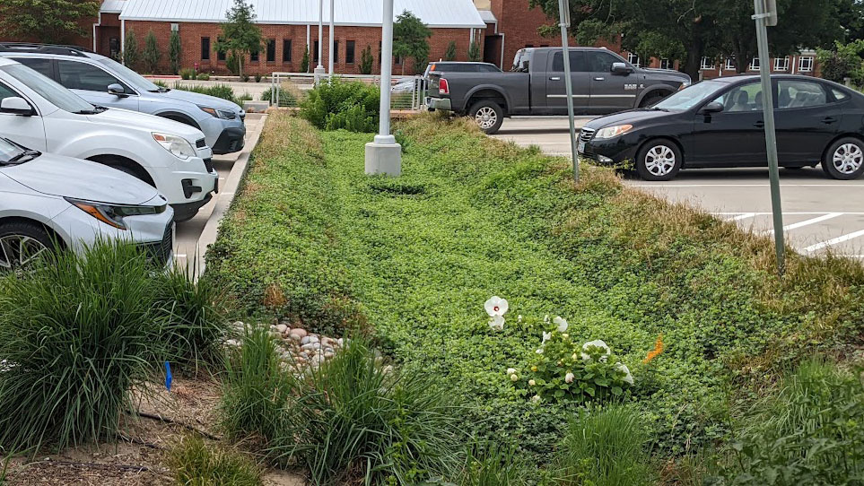 A bioretention area at the Texas A&M AgriLife Center in Dallas.