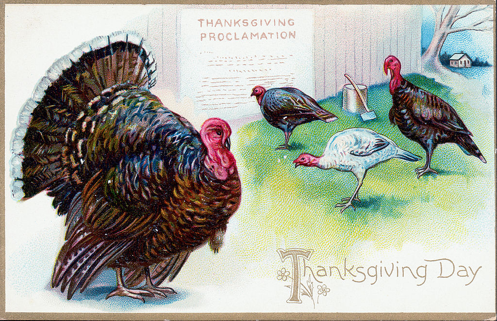 Artistic work featuring turkeys reading a Thanksgiving Proclamation displayed on a fence beside an axe and chopping block