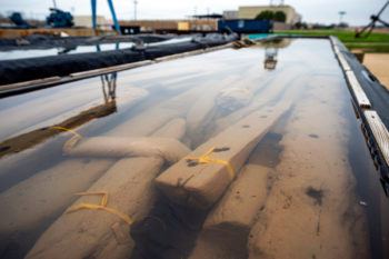 Close-up of pieces of a ship submerged in vats of liquid at the Conservation Research Laboratory