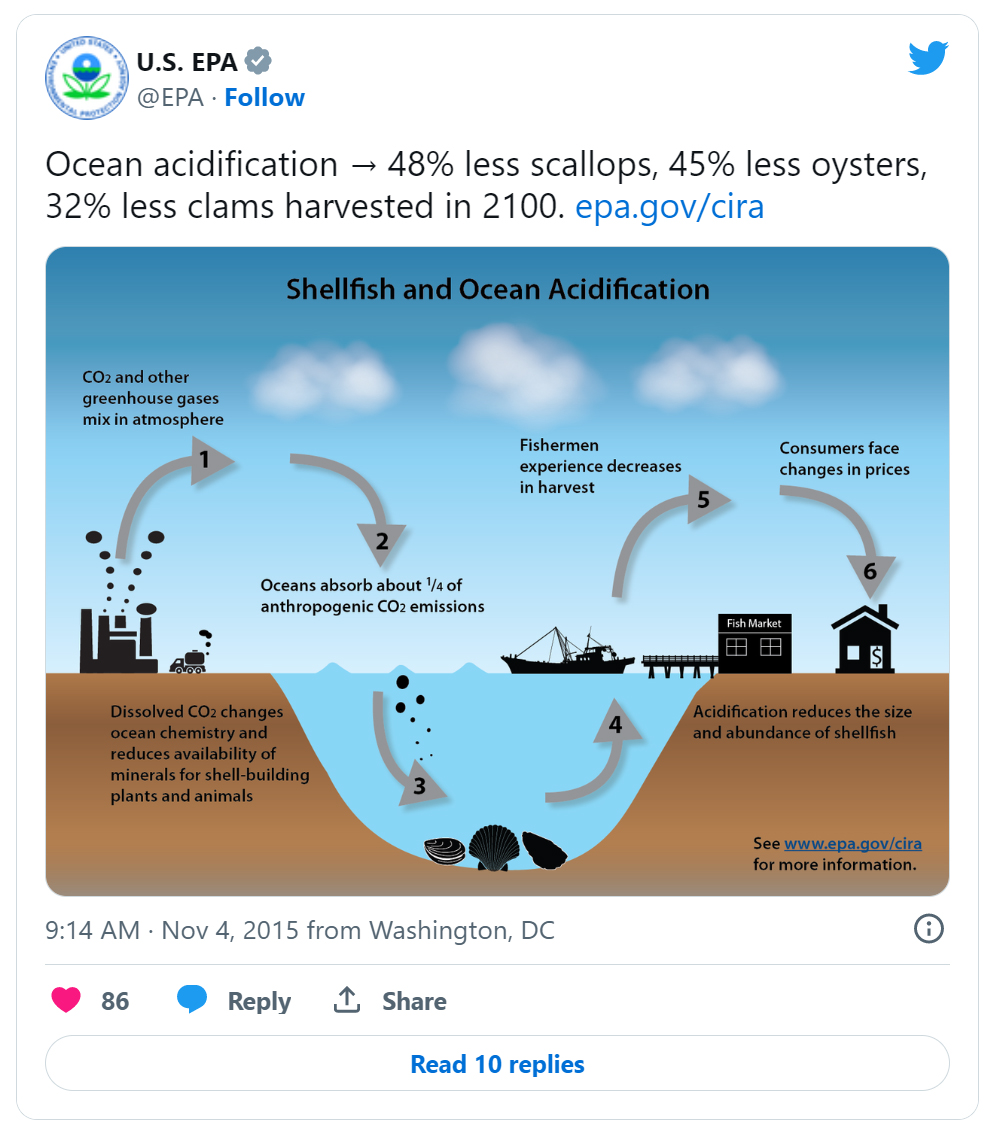 Screen shot of a tweet from the U.S. Environmental Protection Agency regarding the effects of ocean acidification on shellfish