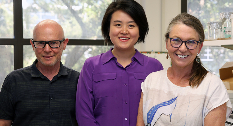 Texas A&M University biologists Dr. Matthew Sachs, Dr. Wanhe Li and Dr. Deborah Bell-Pedersen are smiling in an office setting, with Dr. Li in a purple shirt flanked by two others, Dr. Sachs wearing glasses and a black shirt, and Dr. Bell-Pedersen in a white shirt with a blue abstract design.