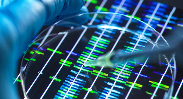 A scientist's gloved hand holds a pipette over a DNA microarray chip illuminated in blue light, displaying colorful genetic data patterns.