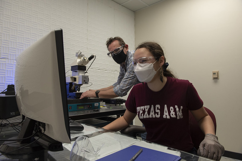 photo of researcher looking at computer