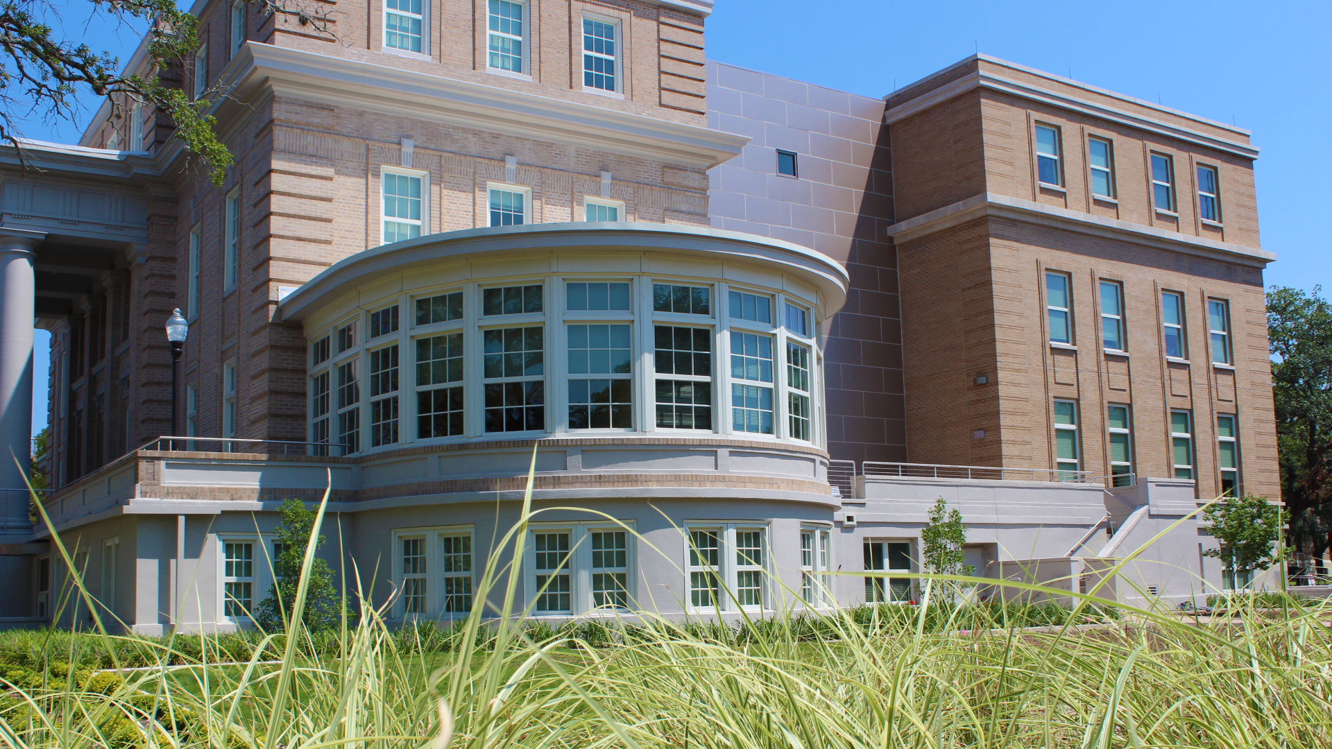 The YMCA Building from a low perspective. Grass pokes up from the bottom of the screen.